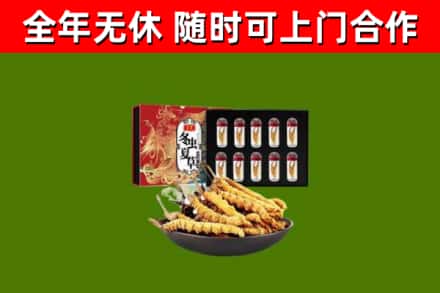 莲都区回收冬虫夏草价格